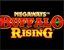слот buffalo rising