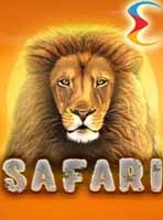 слот Safari